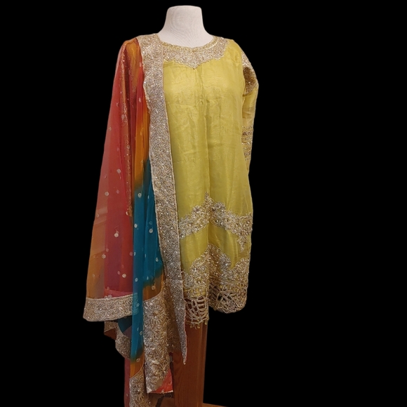 Embroidered fancy Multi color Pakistani/Indian 3Pc Shalwar suit Size M-L - Picture 6 of 15